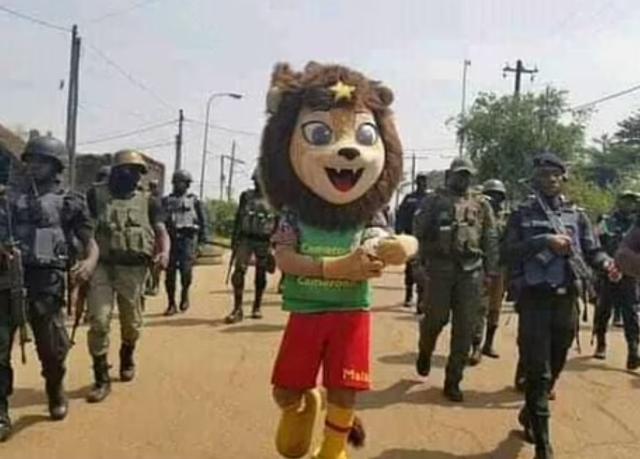 网页版登录入口-炸弹“预热”装甲车压阵 非洲杯能安全举行么？